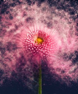 shutterstock_stillness