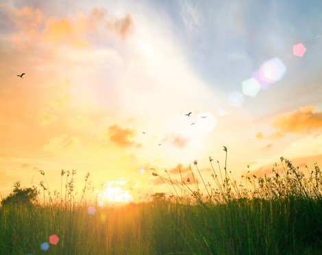 shutterstock_sunrise